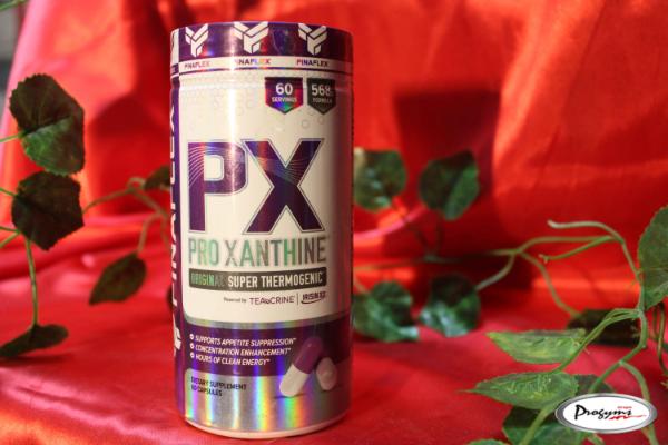 XANTHINE 60 CAPS    TERMO    FINAFLEX