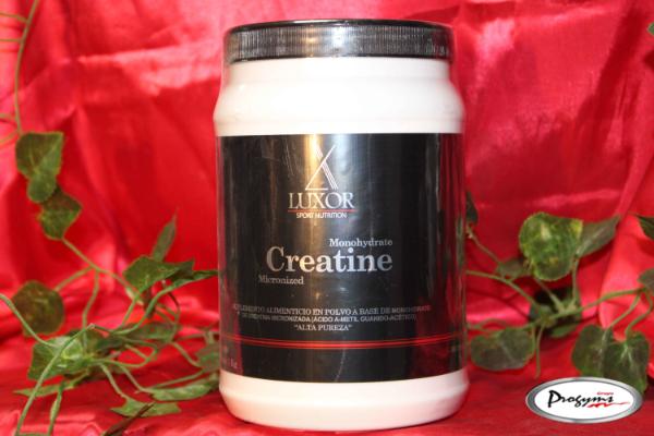 CREATINA 1KG FRUTOS ROJOS LUXOR
